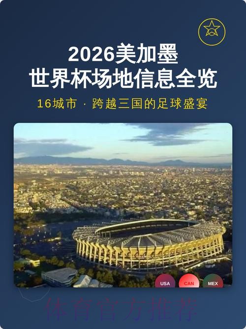 揭秘世界杯盘口入口的多元化选项